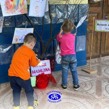 Alunos constroem Árvore das Vivências com memórias | Infantil 3