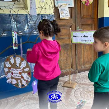 Alunos constroem Árvore das Vivências com memórias | Infantil 3