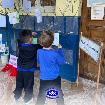 Alunos constroem Árvore das Vivências com memórias | Infantil 3