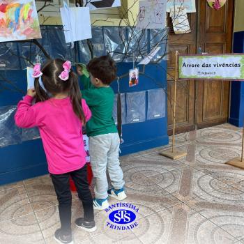 Alunos constroem Árvore das Vivências com memórias | Infantil 3