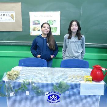 5º ano | Feira da Cultura Indígena 