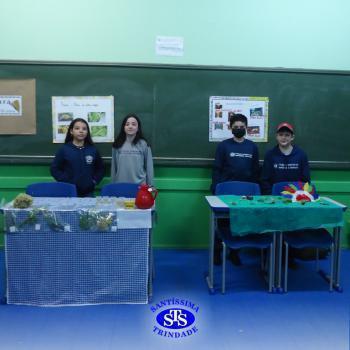 5º ano | Feira da Cultura Indígena 