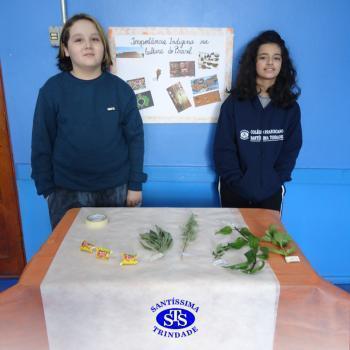 5º ano | Feira da Cultura Indígena 