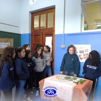 5º ano | Feira da Cultura Indígena 
