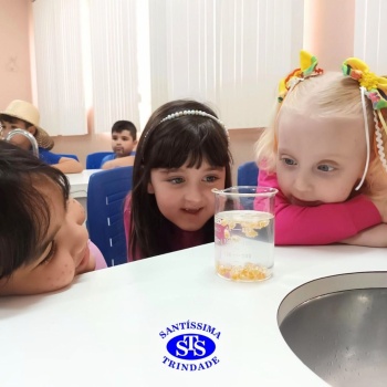 Aulas no laboratório de ciências promovem aprendizado lúdico 