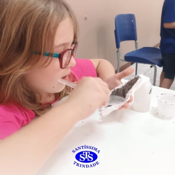 Aulas no laboratório de ciências promovem aprendizado lúdico 