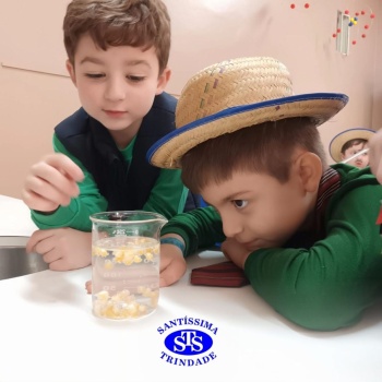 Aulas no laboratório de ciências promovem aprendizado lúdico 