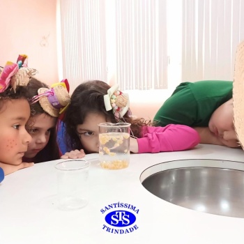 Aulas no laboratório de ciências promovem aprendizado lúdico 