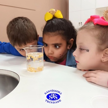 Aulas no laboratório de ciências promovem aprendizado lúdico 