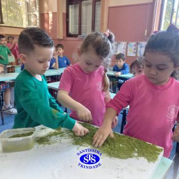 Alunos constroem maquete para estudar a história da cidade | Infantil 4
